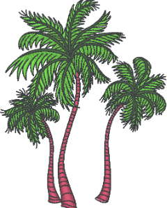 Palm Trees